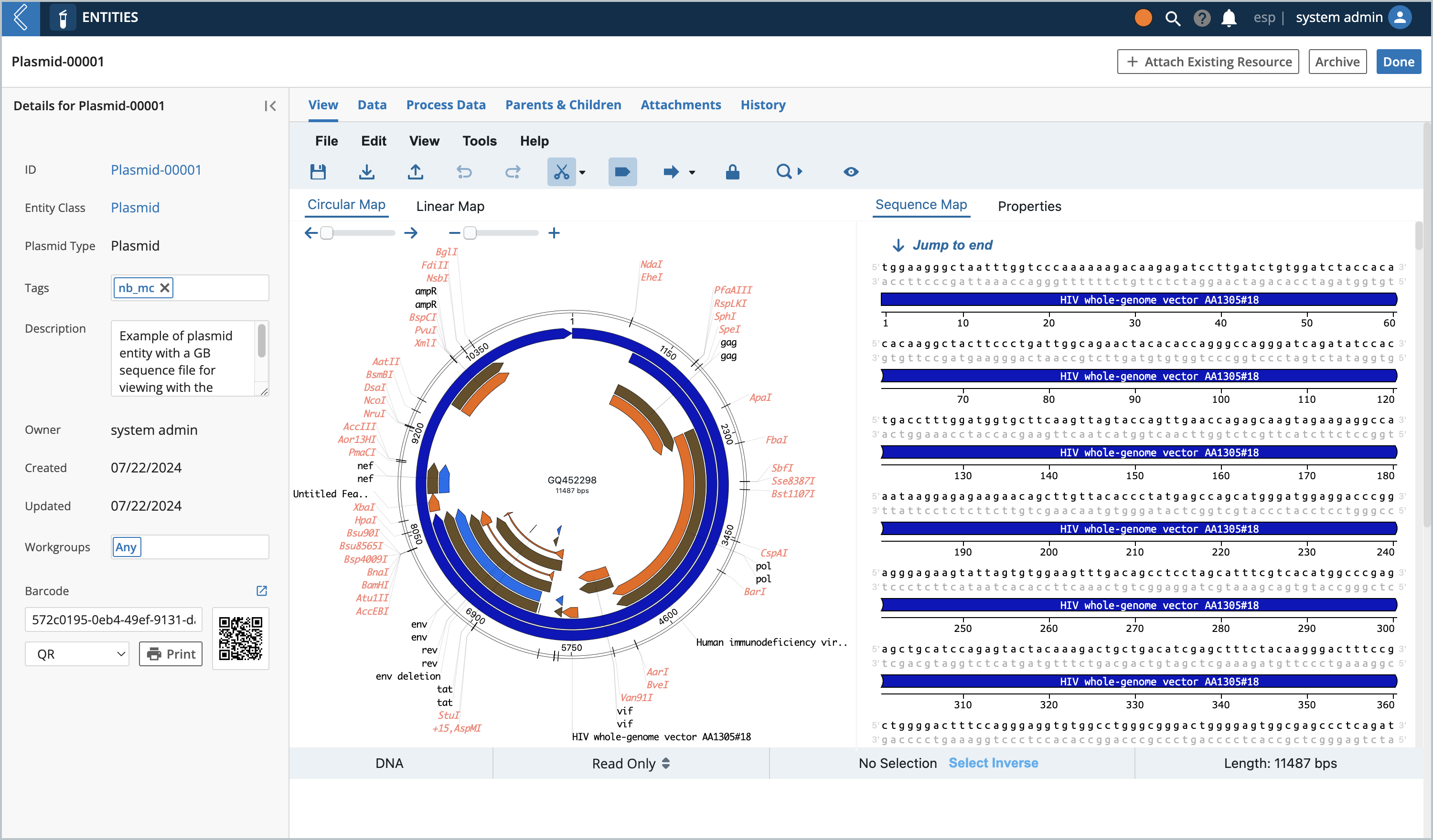 plasmidEditor_EntityView_3_3.png